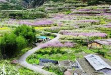 ¥360爆款2天 | 【仙境乐昌·九峰山·桃李万亩朵朵开】,神仙级的世外桃源—绽放春季-惠州装维总工会