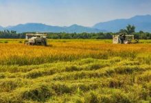 惠州市创新实施“增违挂钩”机制,严格责任约束和追究,加快推进违法用地整改-惠州装维总工会