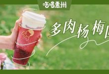 喜茶「多肉杨梅」回来了!初夏第一口!-惠州小破站