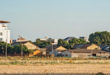 马安这条村,在全国出名了!-惠州装维总工会