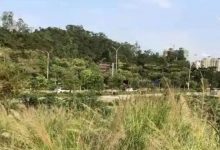 6.8亿！德威拿下惠阳三宗村企合作地！楼面价4716元/㎡-惠州装维总工会