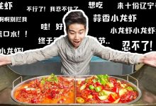 用船装的小龙虾你见过吗?简直就是“耍流氓”!-惠州小破站