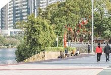 紧要!最低3℃!强冷空气杀到惠州!还会下大雨-惠州装维总工会