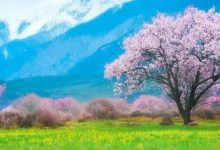 打卡三月最美旅行地,看到第三个马上就想动身出发!-惠州装维总工会