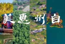 视听惠州自然① | 红树林湿地里倾听陆海生态的声音-惠州装维总工会