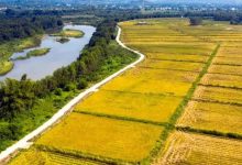 2022年惠州耕地保护重点工作这样干!-惠州装维总工会