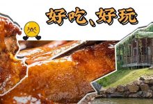 首次曝光!惠州800000㎡茶里王国,招牌秘制焖鸭很多人慕名而来!-惠州装维总工会