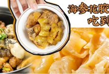 红爆东莞天桥底的「惹味煲」来惠州了,日排100+桌一位难求!-惠州装维总工会