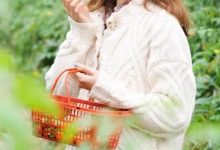 「牛奶草莓采摘」19.9元/斤，惠州草莓园②家，江北直达15min！-惠州装维总工会