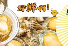 河南岸人气“鸡王”!人均60+吃超鲜“惹味”煲,6.8折开吃...-惠州装维总工会