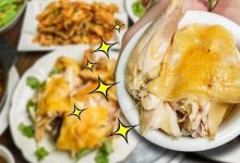 「古法盐焗鸡」只卖30元！藏在桥底的农家饭店，是很多人的心头好！-惠州小破站