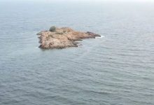 惠州市自然资源局强化海域生态灾害预警监测,保障沿海公众免受赤潮威胁-惠州装维总工会