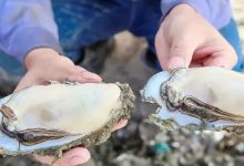 这12道美味，90%的惠州人没有全吃过-惠州装维总工会