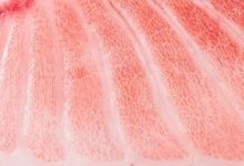 在惠州,花1000+吃一顿饭是什么体验?-惠州装维总工会