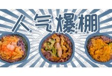 台湾来的胖子饭团,5元1个-惠州装维总工会