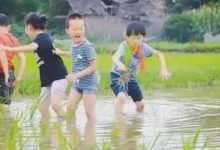 特价！春耕插秧亲子体验——4月4日带娃体验插秧、温泉、美食、采摘…等原味田园生活-惠州装维总工会