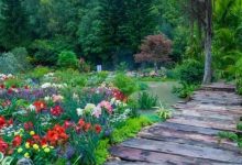 惠州周边最大型花展来了！共赴春天的约会！-惠州装维总工会