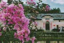 惠州周边踏青好去处！约起来！-惠州装维总工会