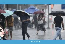 变天了!冷空气又双叒杀到惠州,接下来全是雨雨雨!-惠州小破站
