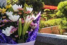 这个清明，有代祭寄哀思-惠州装维总工会