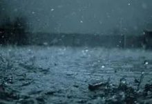 冷冷冷！惠州连续降雨！升温就在......-惠州小破站