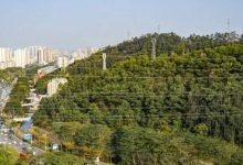 惠城有座公园，建在山上-惠州装维总工会