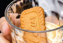 “羡慕，环游世界二十几年，玩够了才开这店”-惠州小破站