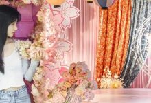 室内50㎡「樱花林」,惠州也就这有吧-惠州小破站