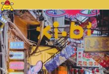 50张照片,带你回到2020年的惠州!-惠州小破站