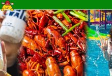 省到哭!⑩家热门吃喝玩乐省钱攻略,小龙虾都能任吃?-惠州小破站